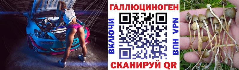Псилоцибиновые грибы Magic Shrooms  дарнет шоп  Кяхта 